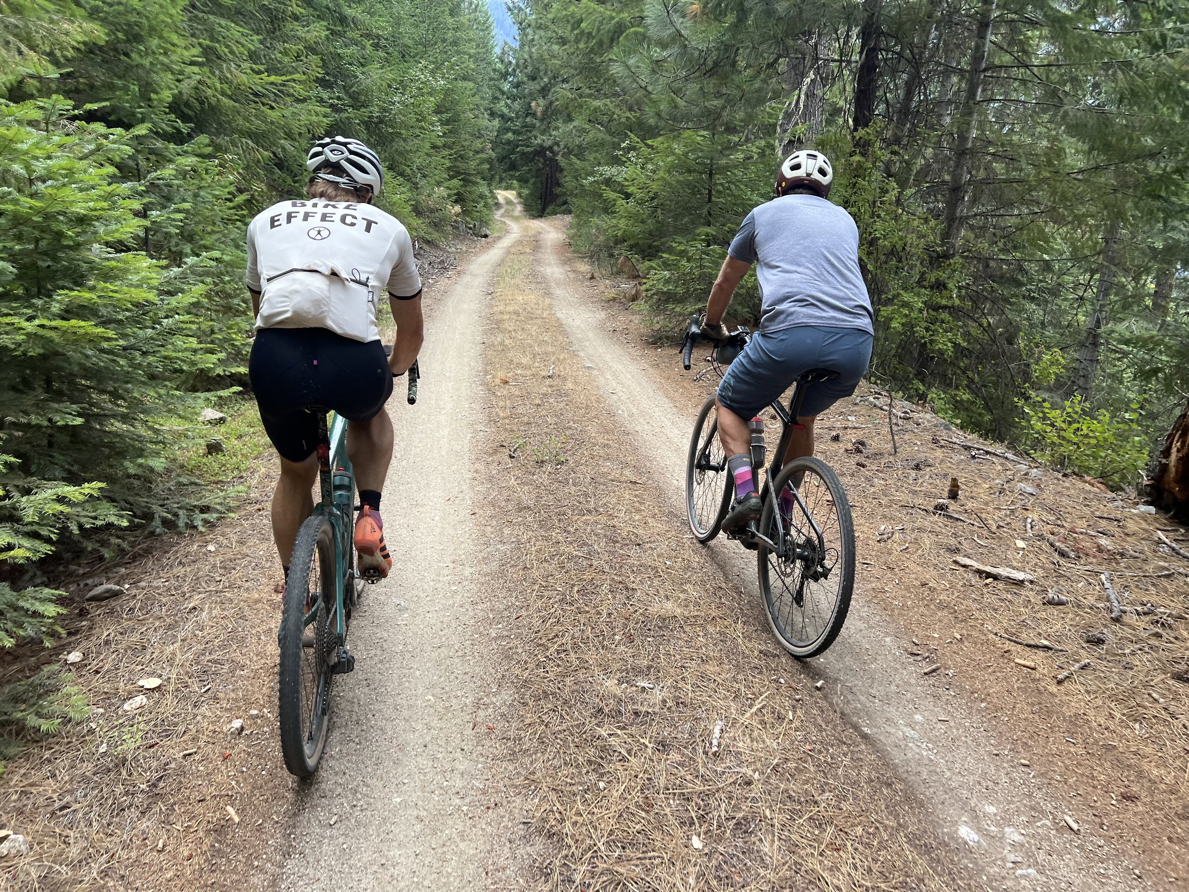 Two cyclists riding through a forest gravel road